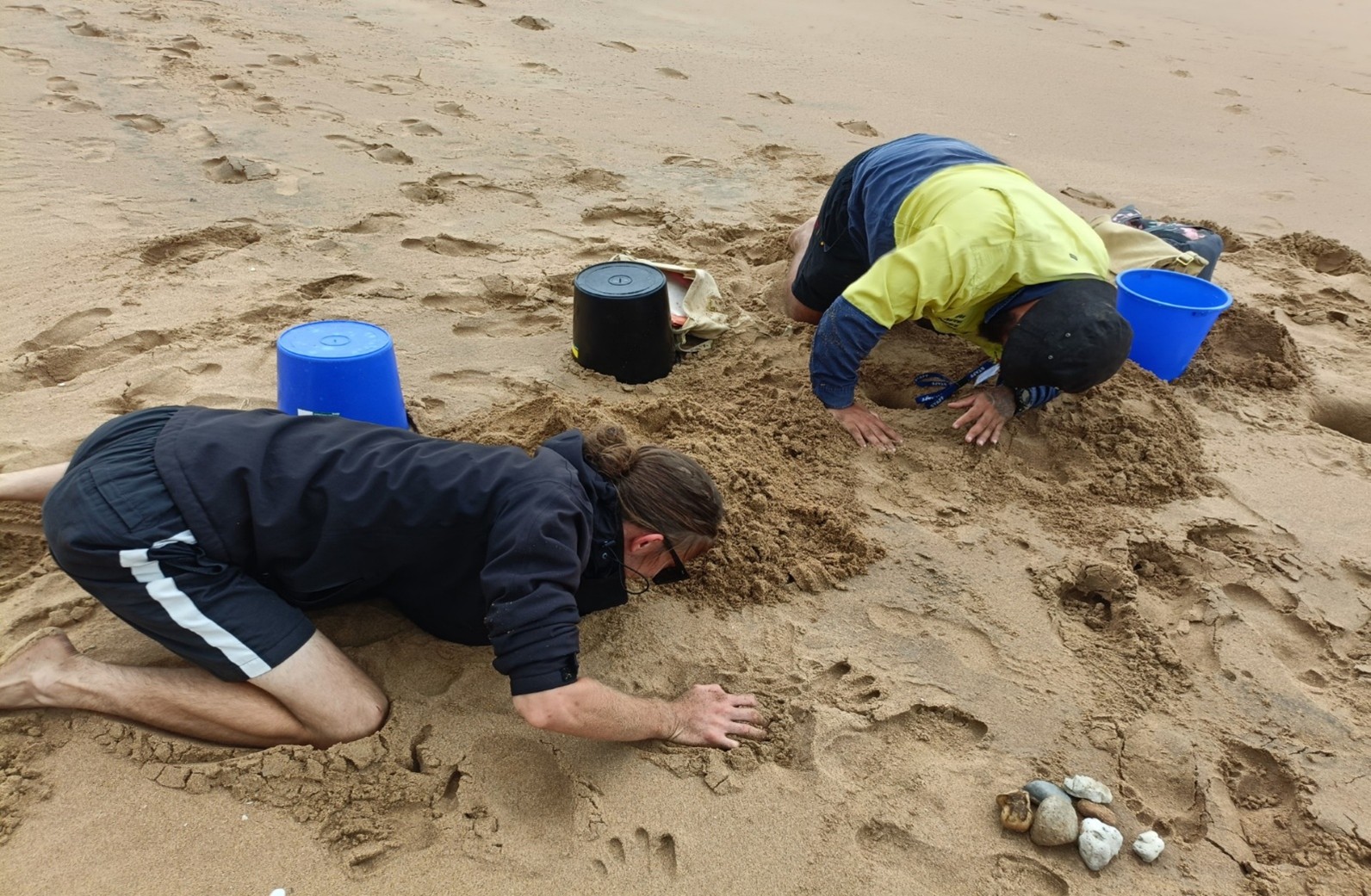 Mitch and Kaile Mon Repos