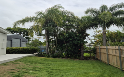 C4C Team Brings Fresh Life to Kent Street Garden