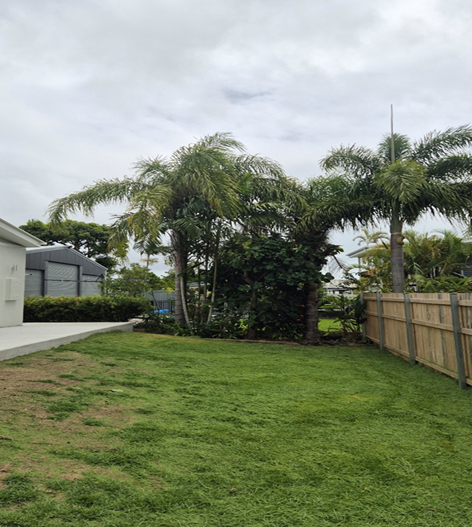 C4C Team Brings Fresh Life to Kent Street Garden